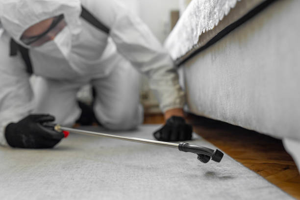 Professional Termite Control technician working in St. James, NY
